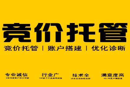 SEM托管公司案例研究：优化策略解析